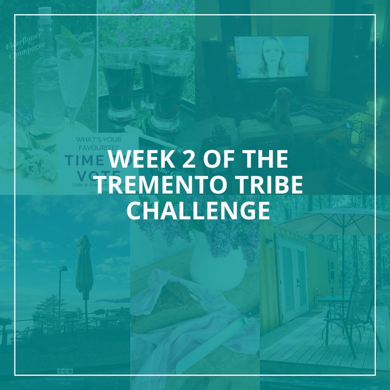 Week 2 of the Tremento Tribe Challenge