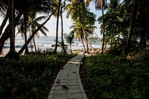 Ylang Ylang Beach Resort - Montezuma - Hotel Photography Tremento