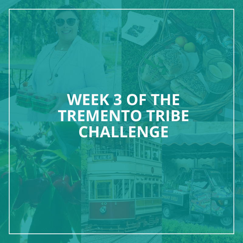 Week 3 Tremento Tribe Challenge - Hospitality Social Media Marketing