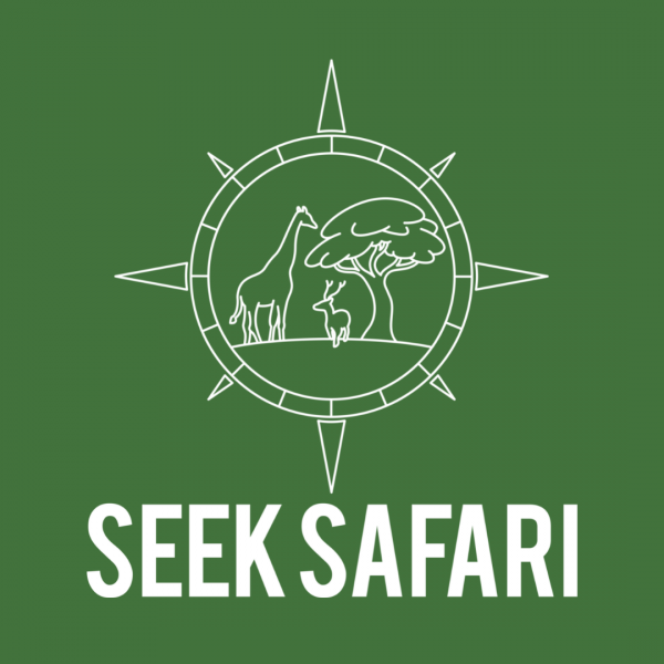 Modern Camping Logo - Seek Safari