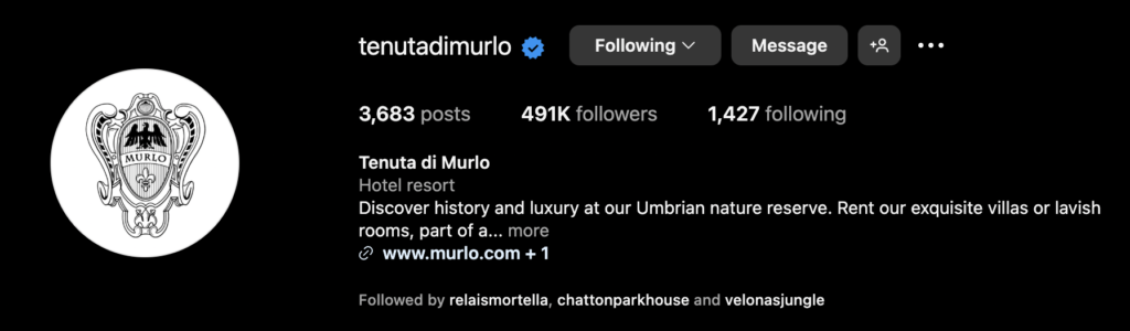 A screenshot of of Tenuta di Murlo's Instagram bio for blog post about hotel marketing online.